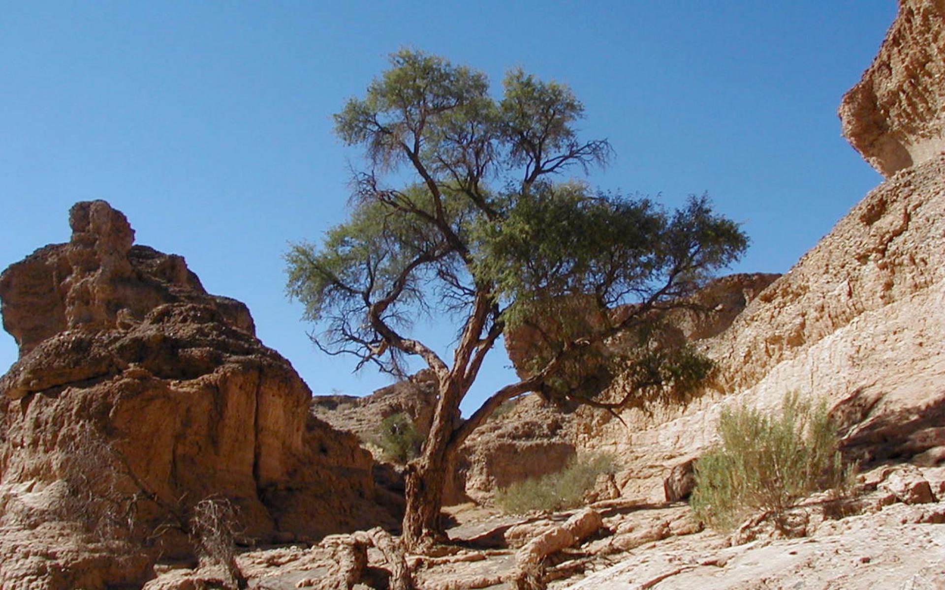 Namibia-Tour Nordost