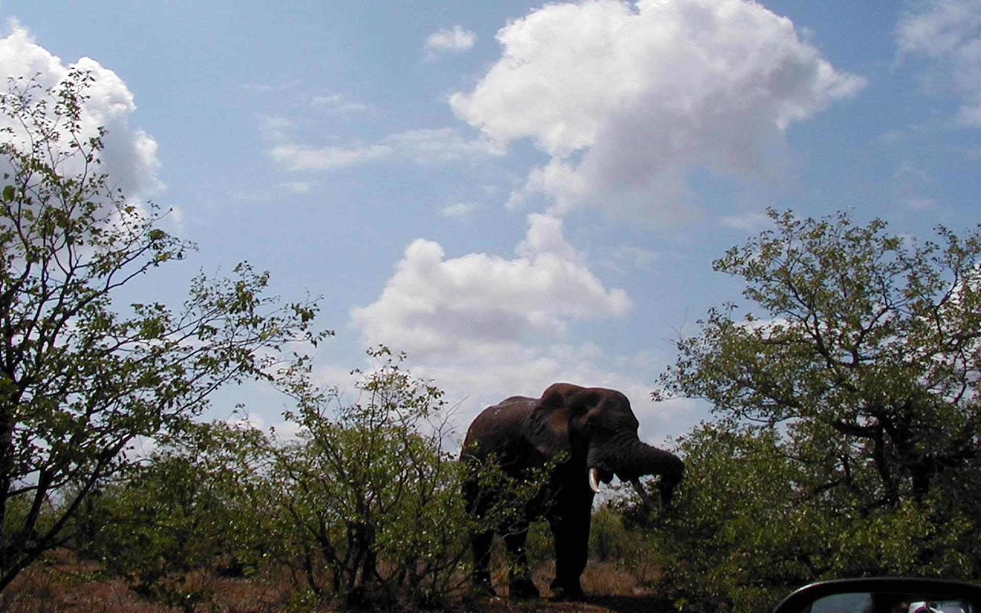 Namibia-Tour Nordost